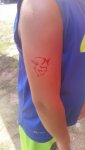 20180714_132615.jpg