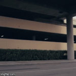 1wipgh.gif
