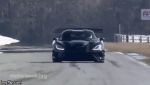 1wisdg.gif