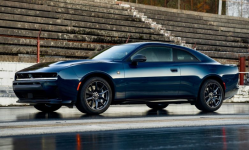 1765745031480.png 1765745031480.png